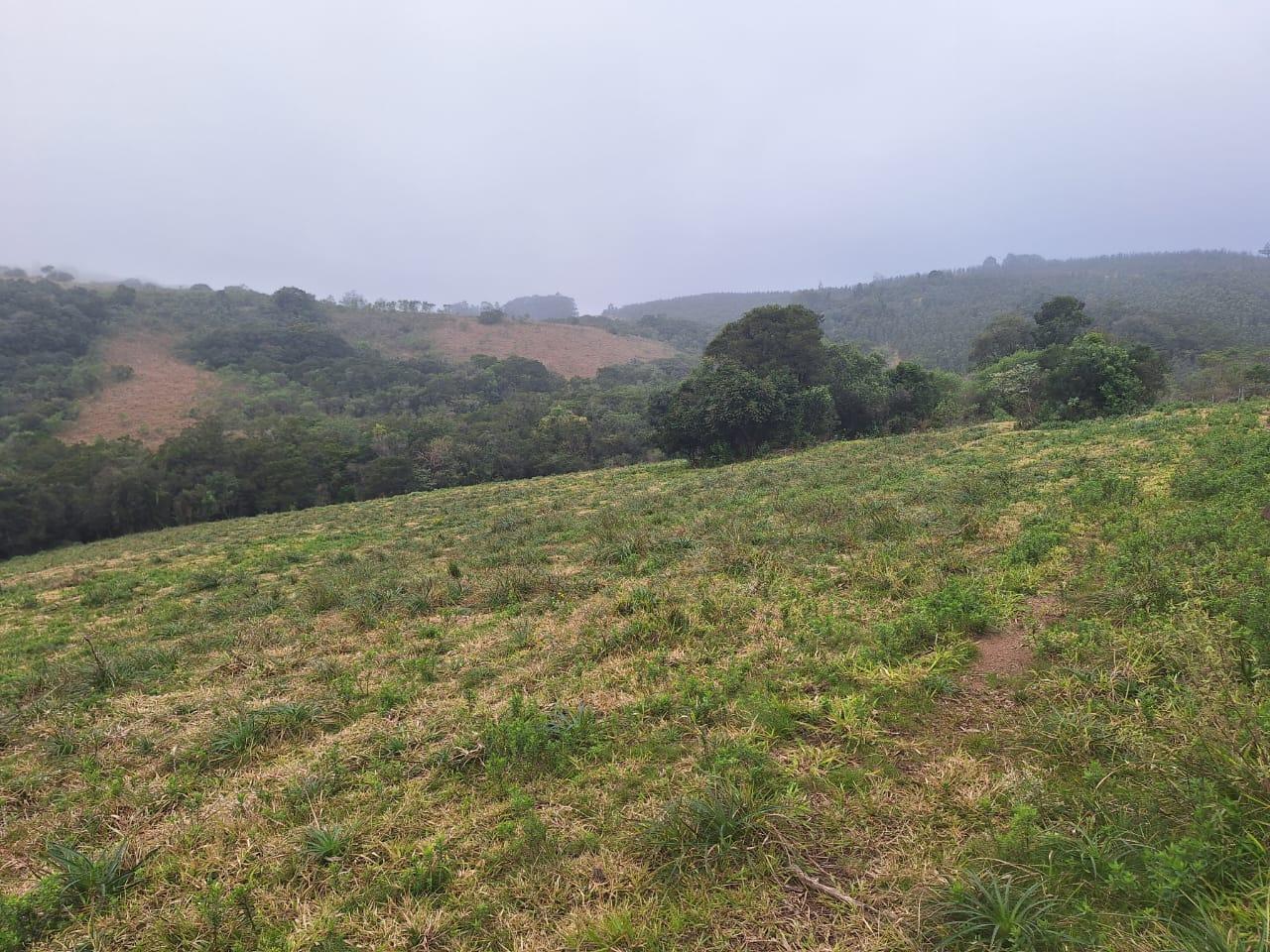 Loteamento e Condomínio à venda, 160000m² - Foto 6