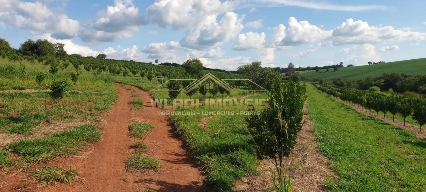 Fazenda à venda, 64m² - Foto 6