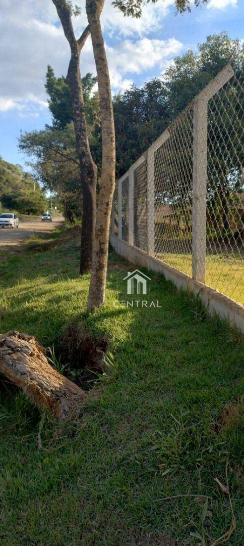 Chácara à venda com 2 quartos, 300m² - Foto 4