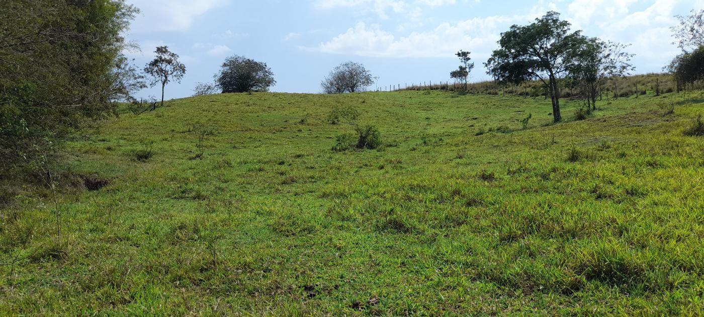 Fazenda à venda com 2 quartos, 20000m² - Foto 12