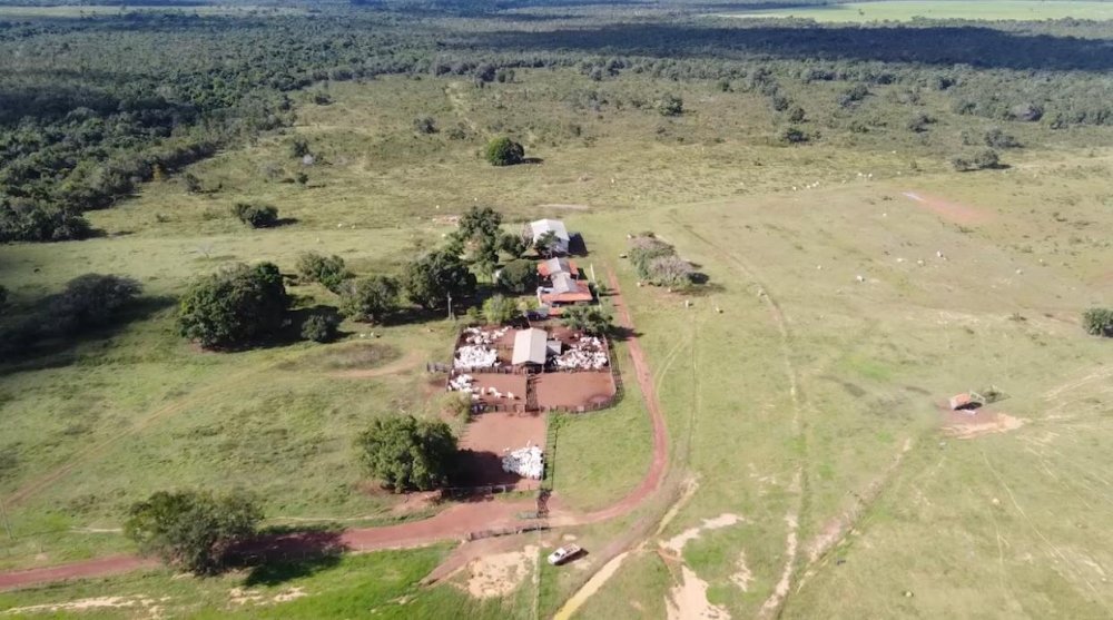 Fazenda-Sítio-Chácara, 8147 hectares - Foto 2