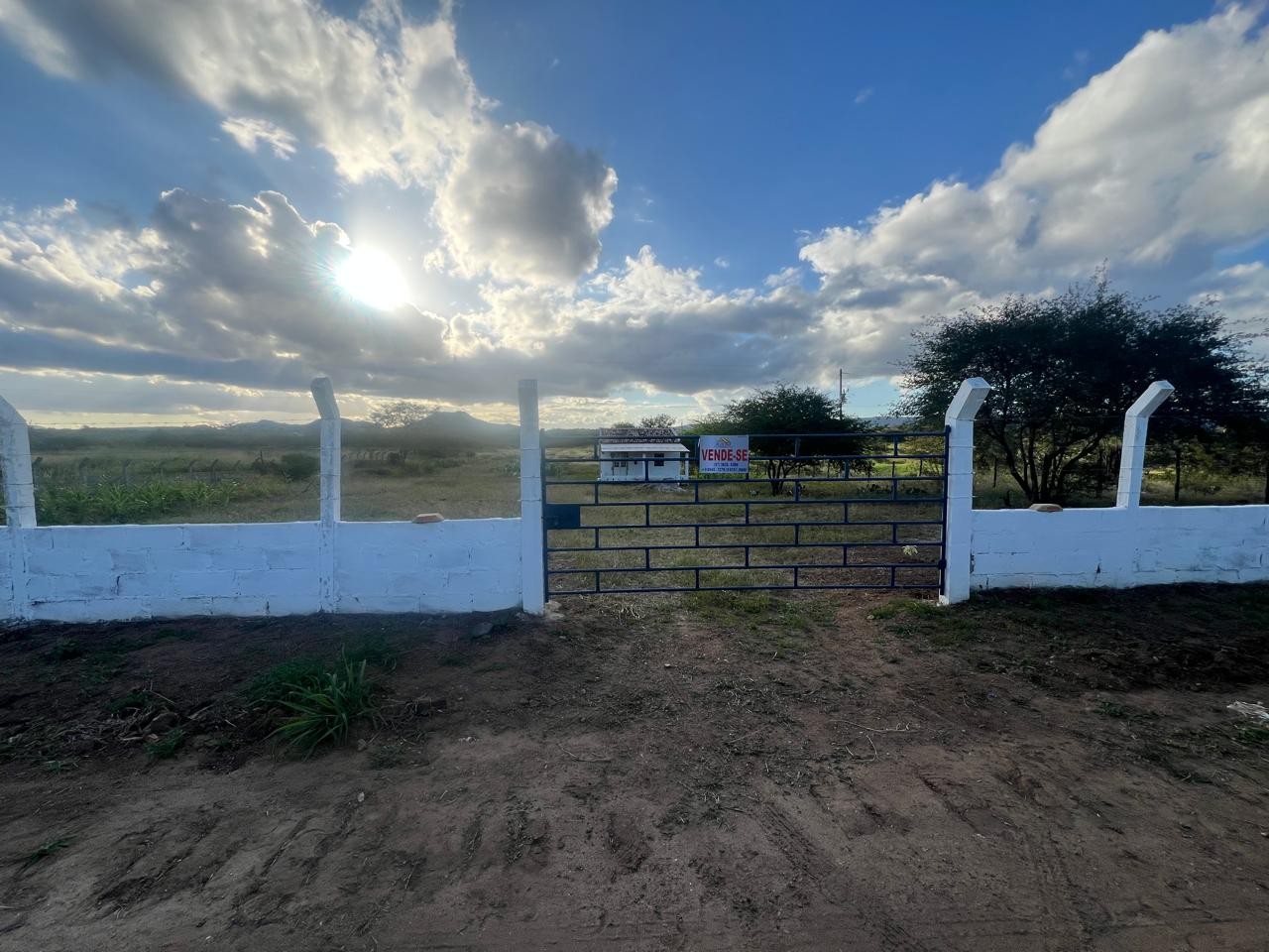 Sítio à venda com 2 quartos, 5000m² - Foto 2