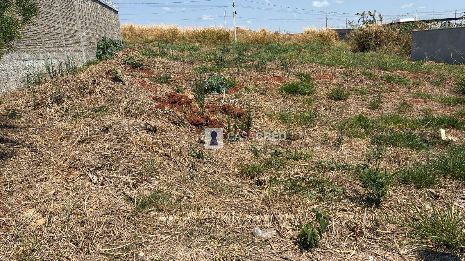 Terreno, 200 m² - Foto 3