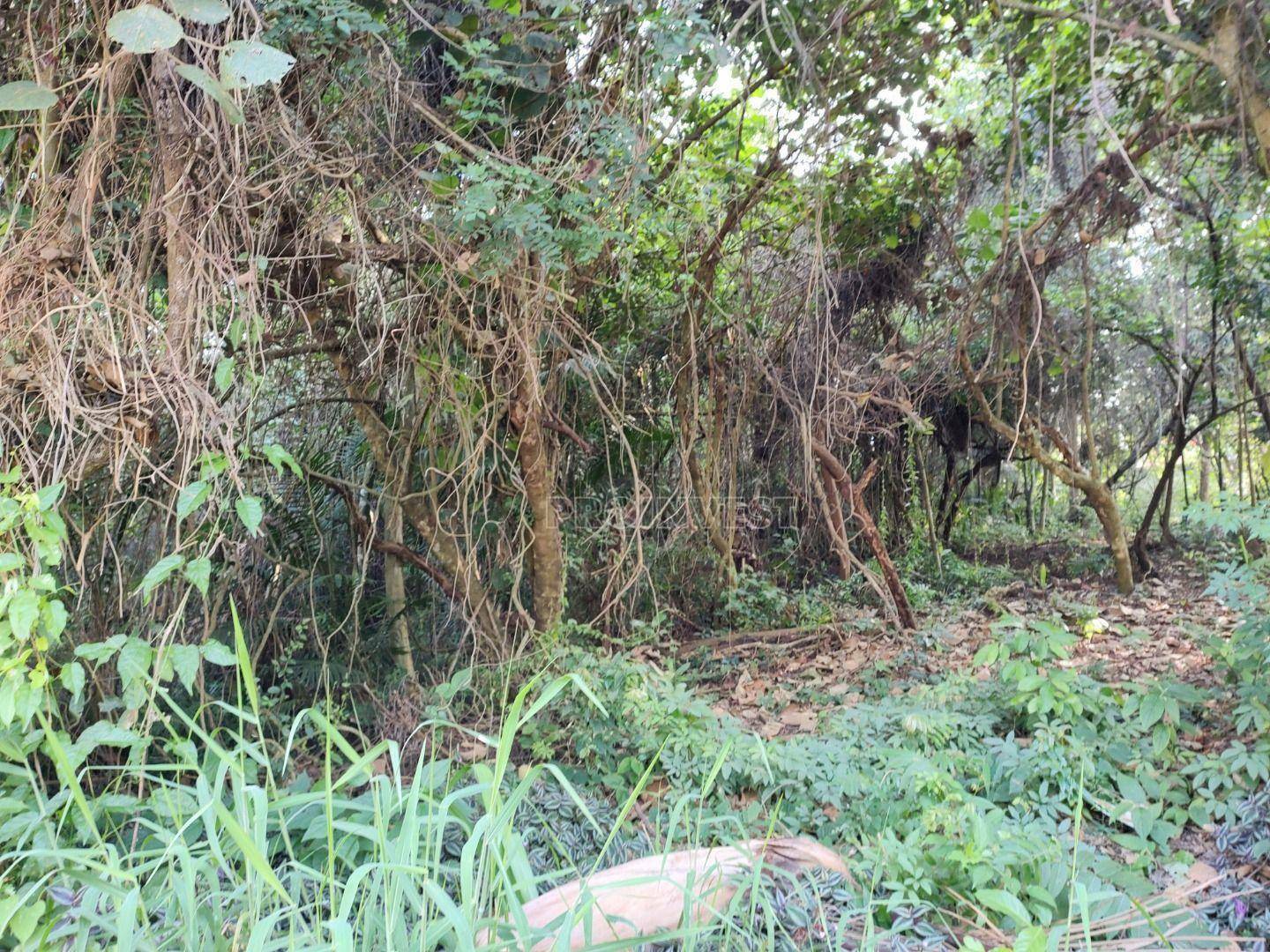 Loteamento e Condomínio à venda, 1000M2 - Foto 10