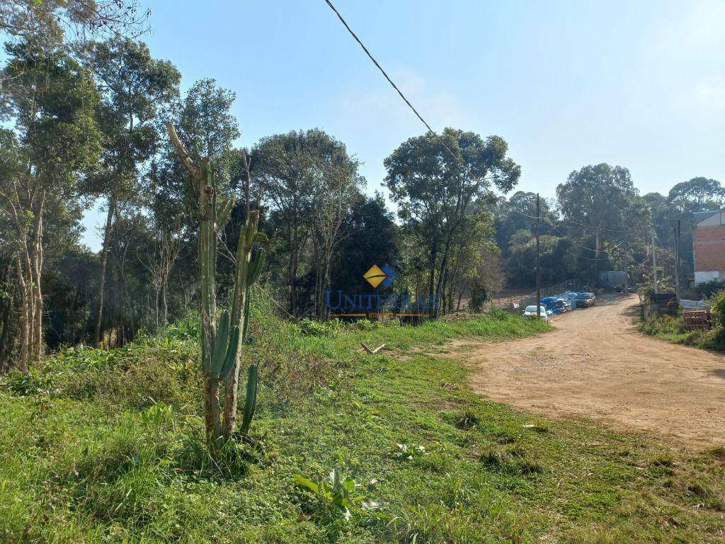 Terreno à venda, 9132M2 - Foto 6