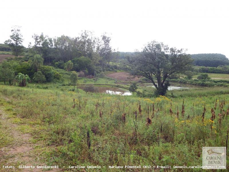 Fazenda à venda com 3 quartos, 60000m² - Foto 4