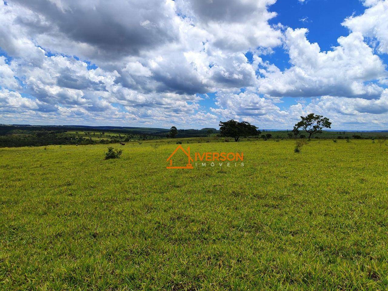 Fazenda à venda com 6 quartos, 1000m² - Foto 36