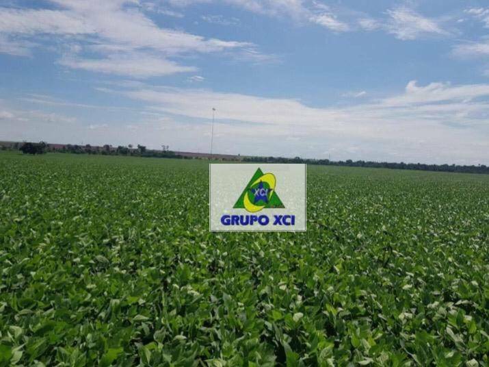 Fazenda-Sítio-Chácara, 13072 hectares - Foto 2