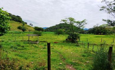 Fazenda à venda com 3 quartos, 17000m² - Foto 18