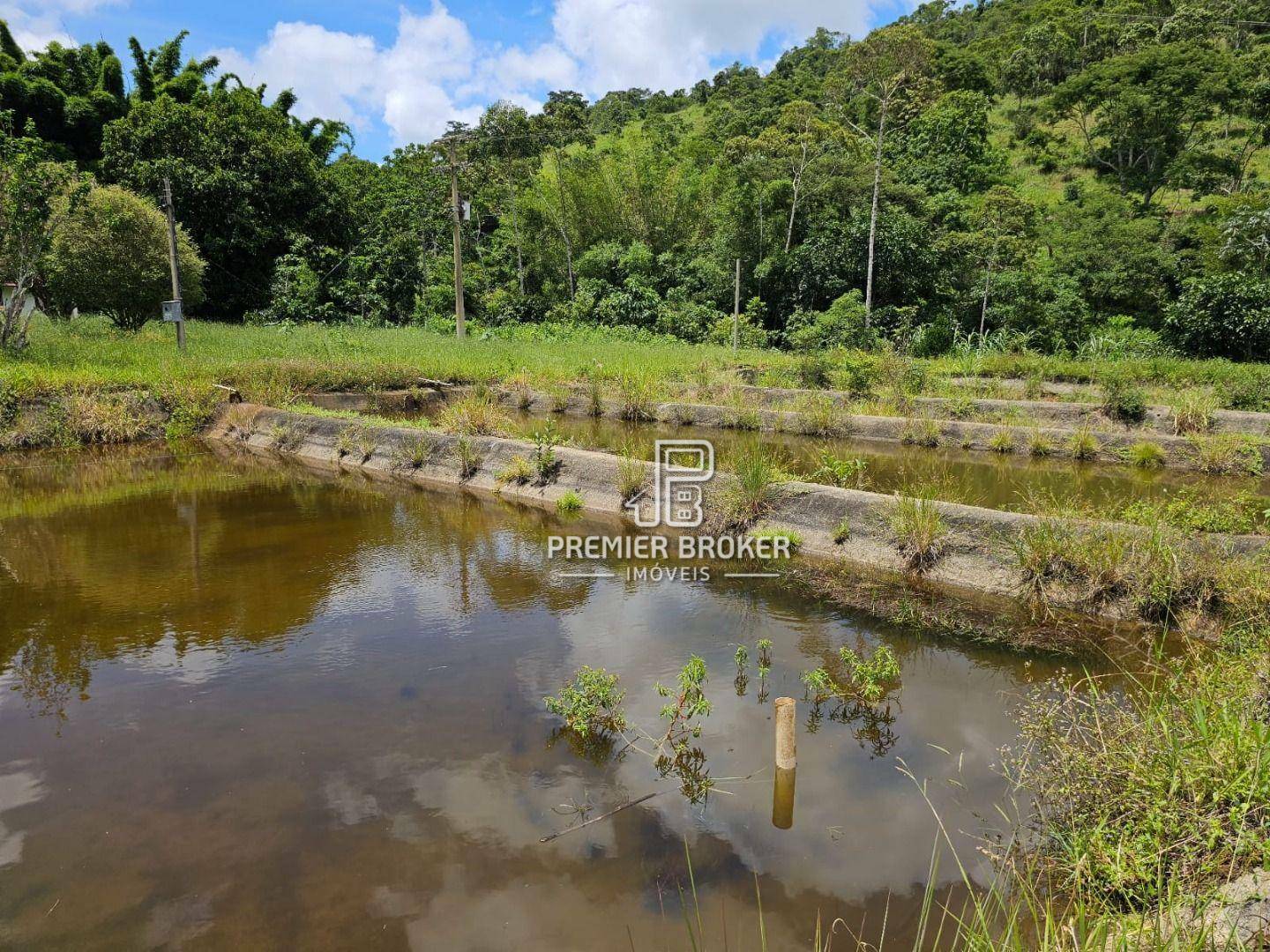 Fazenda à venda com 3 quartos, 250m² - Foto 19