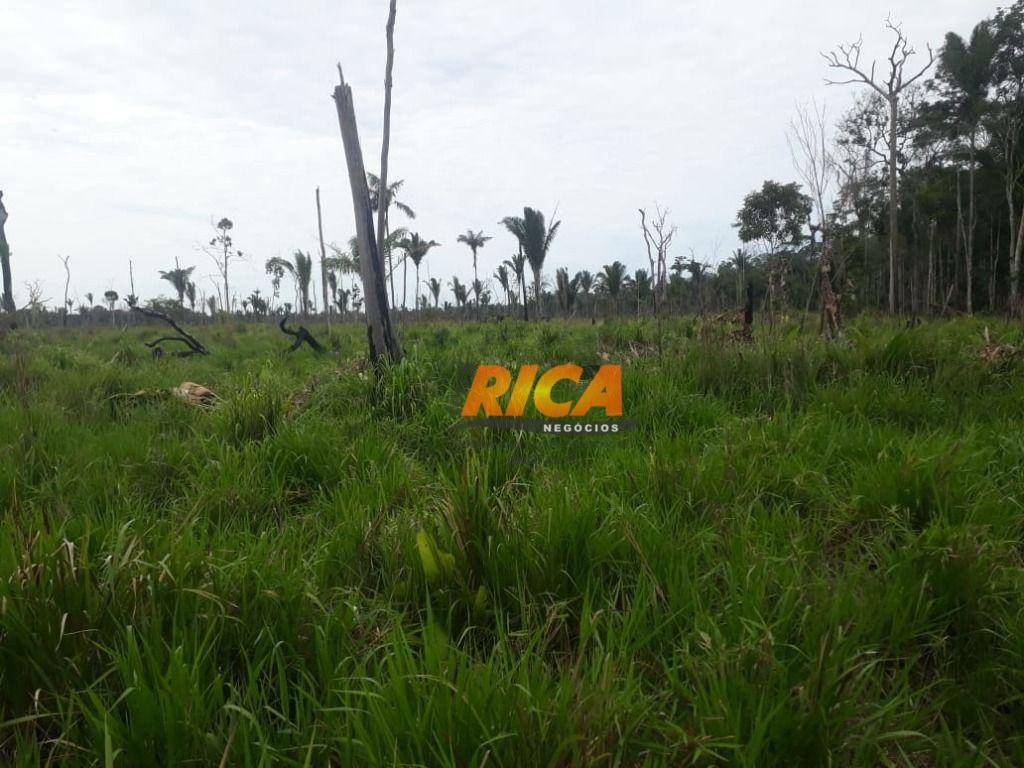 Fazenda à venda, 1150000M2 - Foto 53