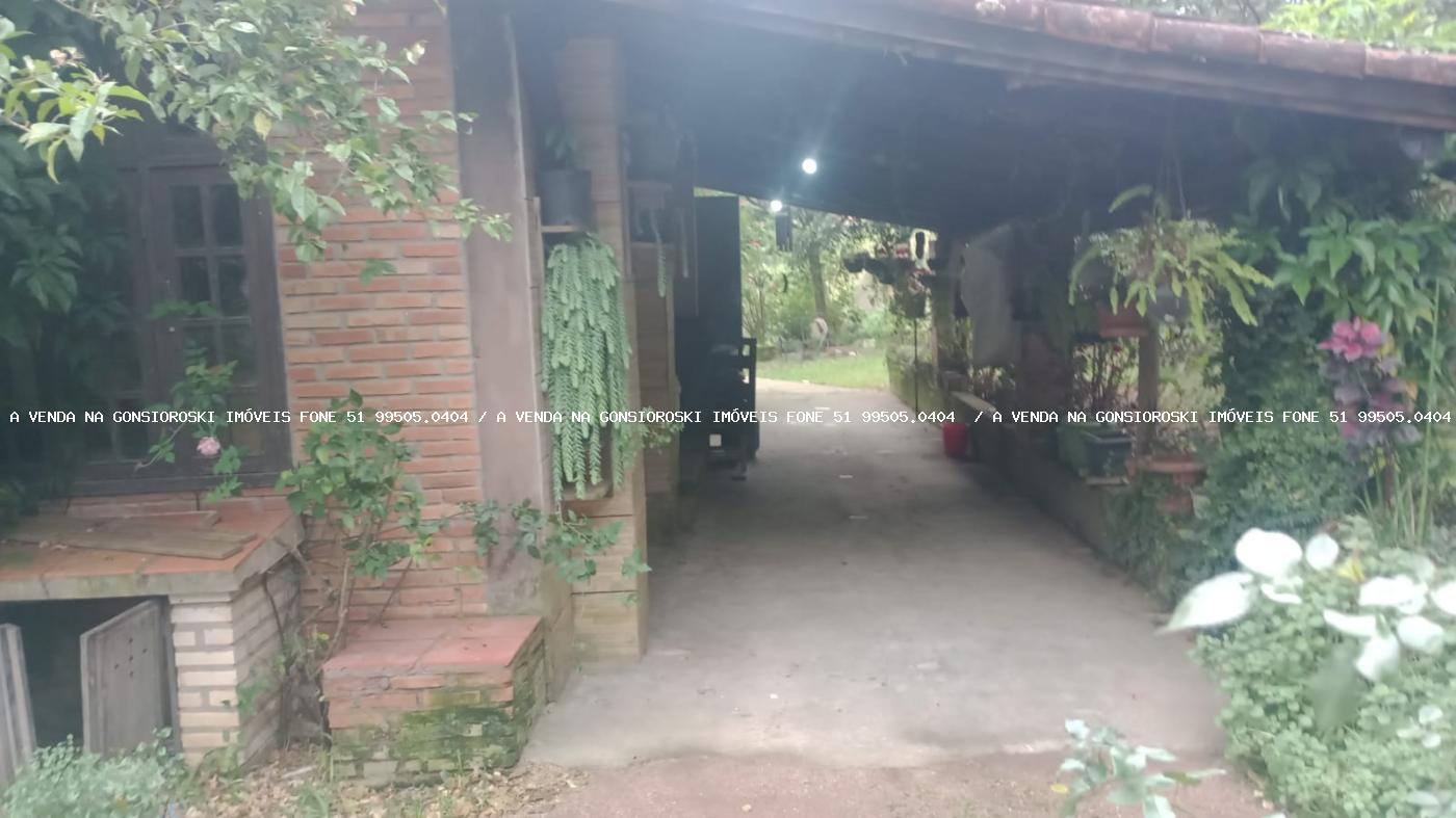 Sítio à venda com 4 quartos, 20000m² - Foto 27