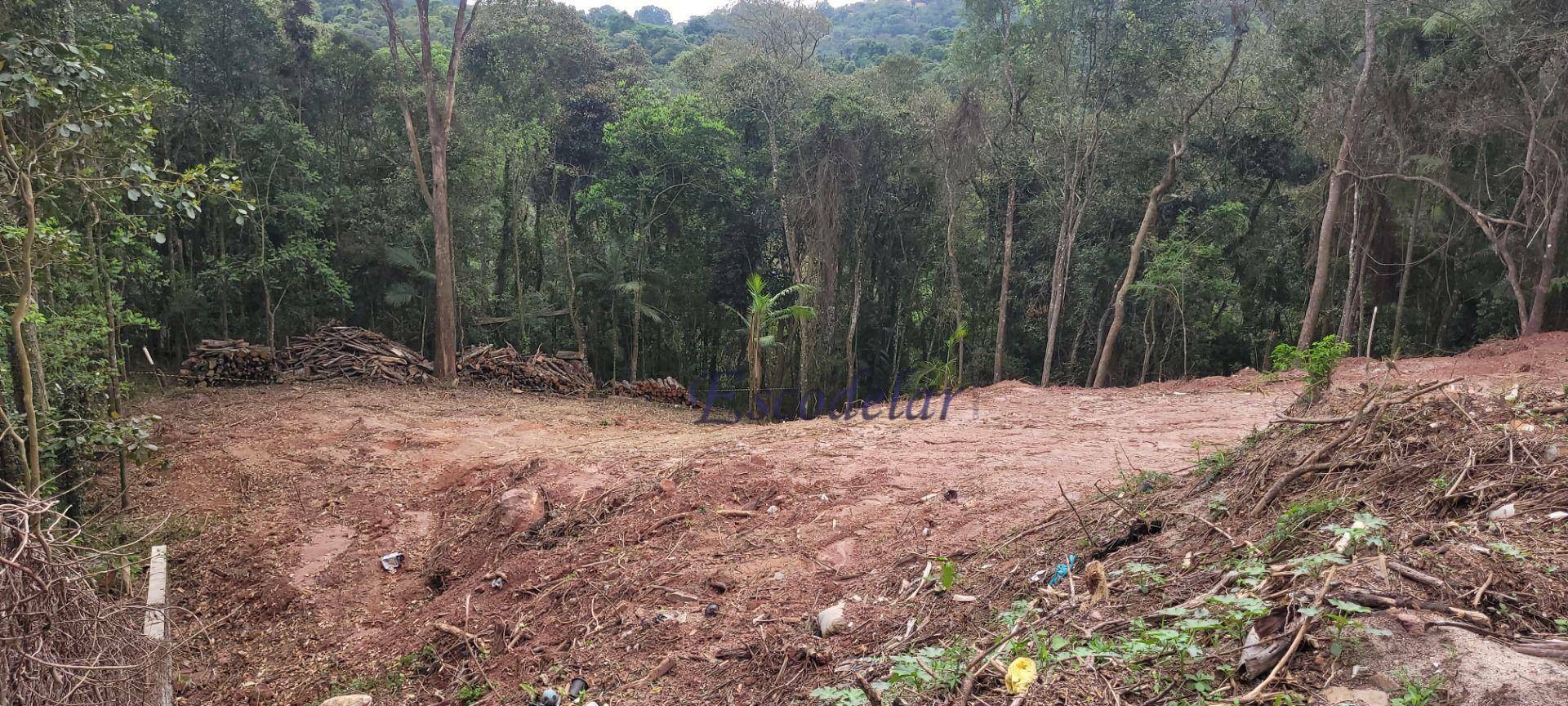 Loteamento e Condomínio à venda, 1732M2 - Foto 10