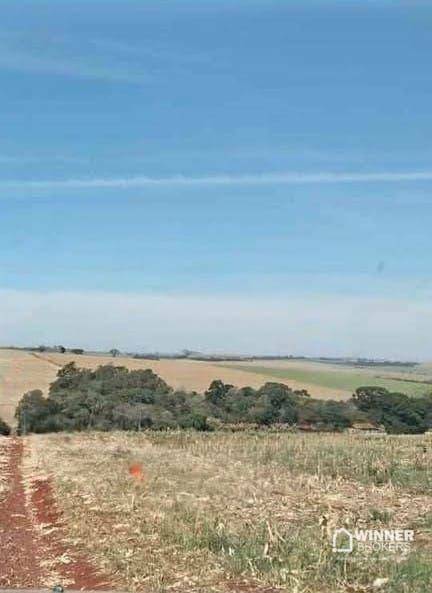 Sítio, 12 hectares - Foto 3