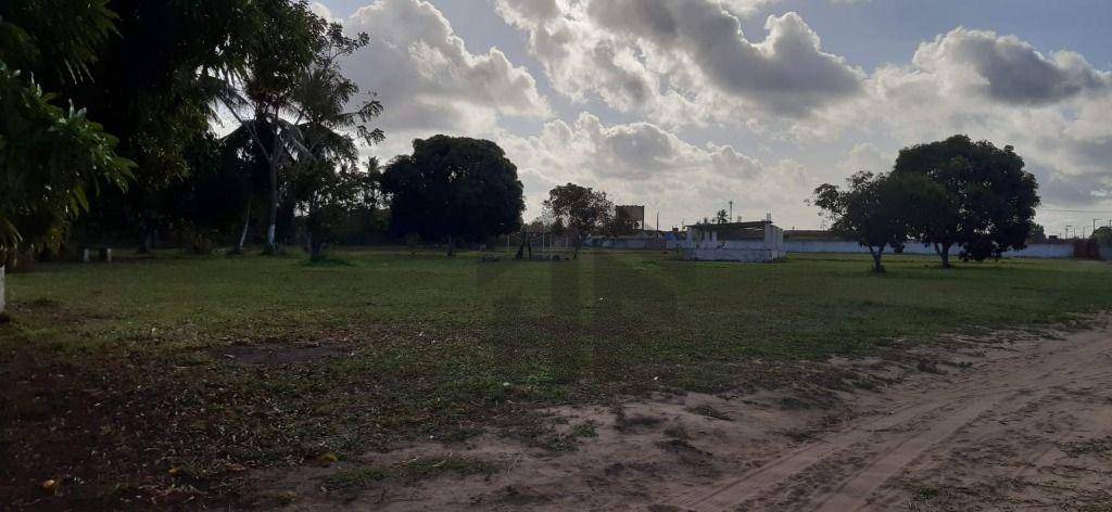 Terreno, 5 hectares - Foto 13