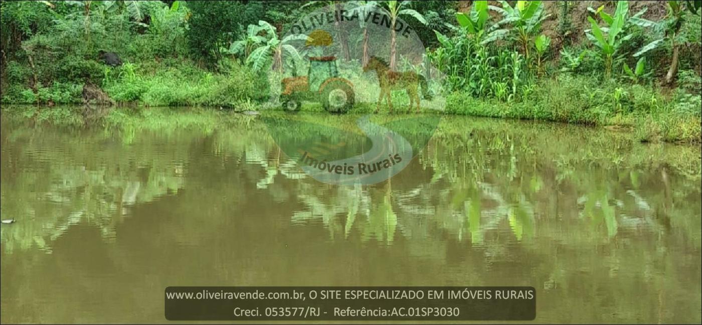 Sítio à venda com 2 quartos, 75000m² - Foto 11