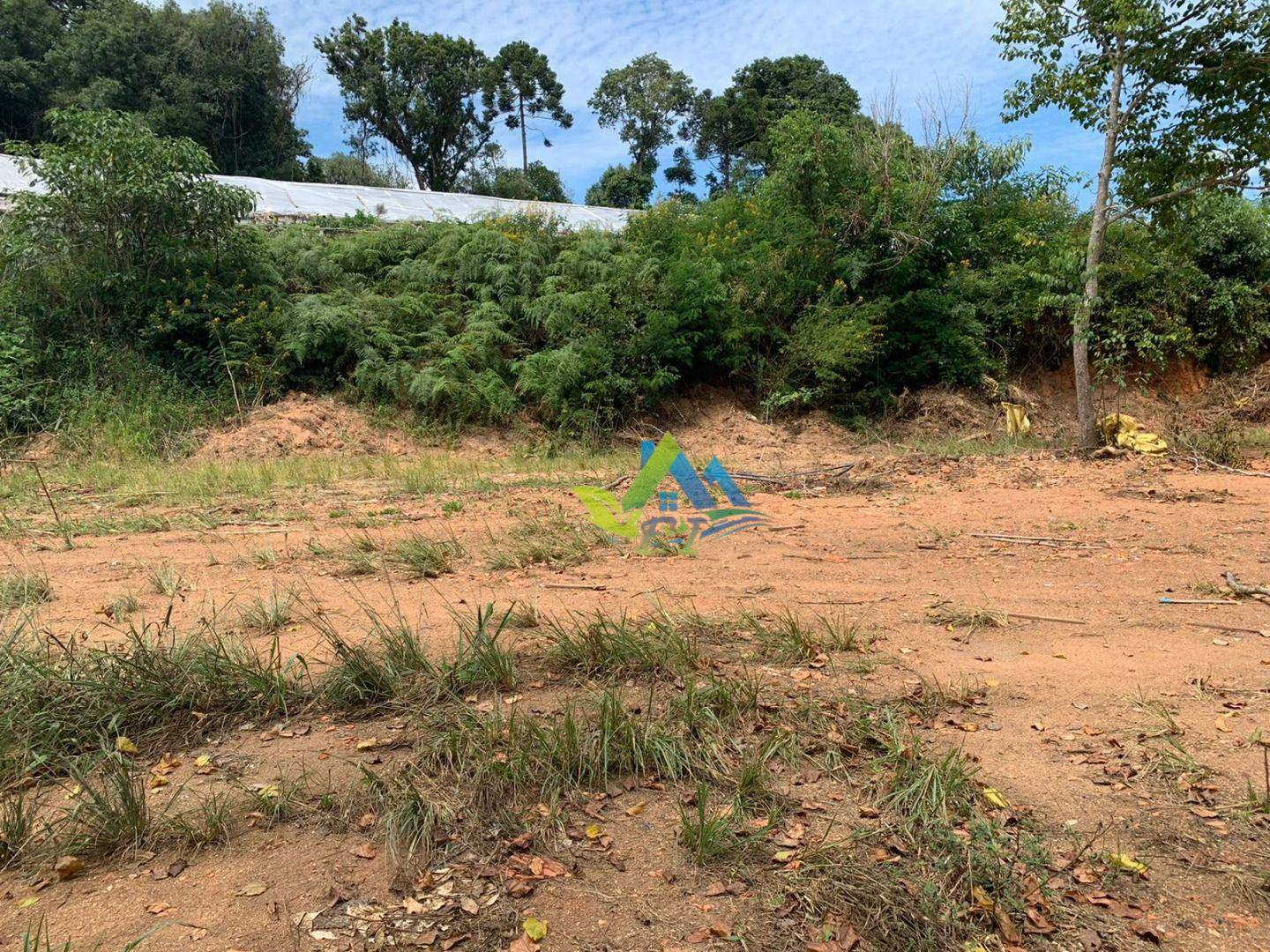 Terreno à venda, 3000M2 - Foto 8