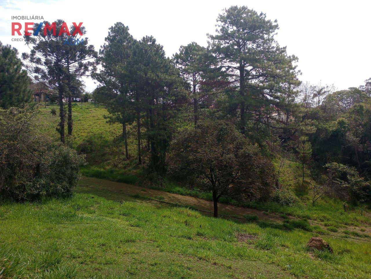 Terreno à venda, 60500M2 - Foto 4