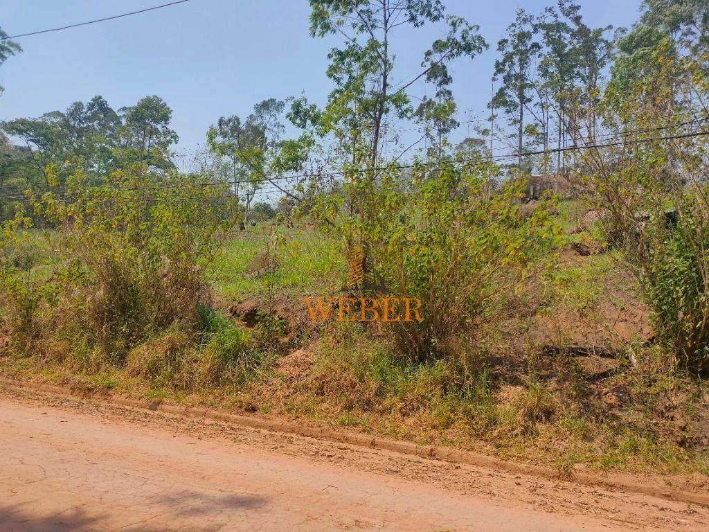 Terreno à venda, 5000M2 - Foto 6