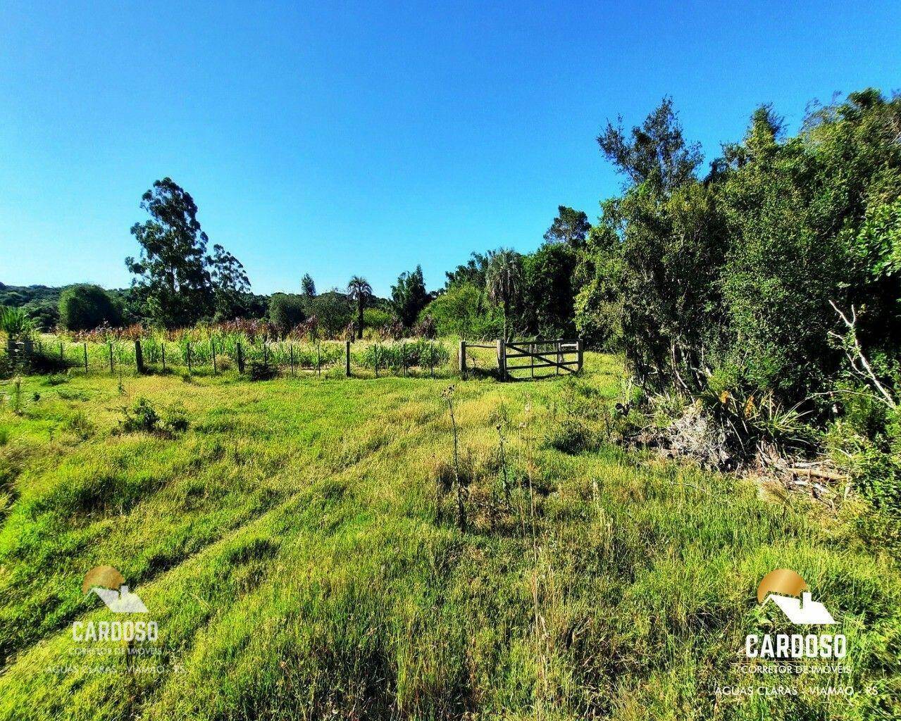 Sítio à venda com 4 quartos, 120000M2 - Foto 11