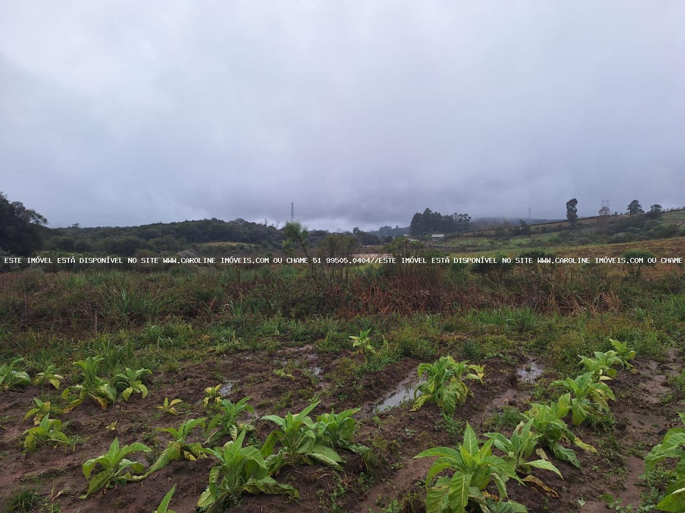 Loteamento e Condomínio à venda, 20000m² - Foto 8