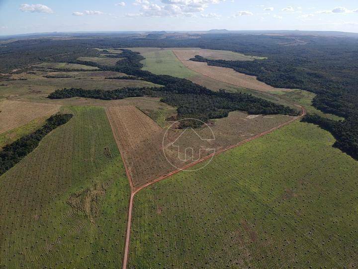 Fazenda à venda, 18270000M2 - Foto 2