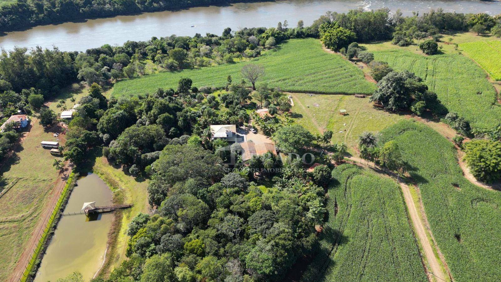 Sítio à venda com 6 quartos, 1100m² - Foto 88