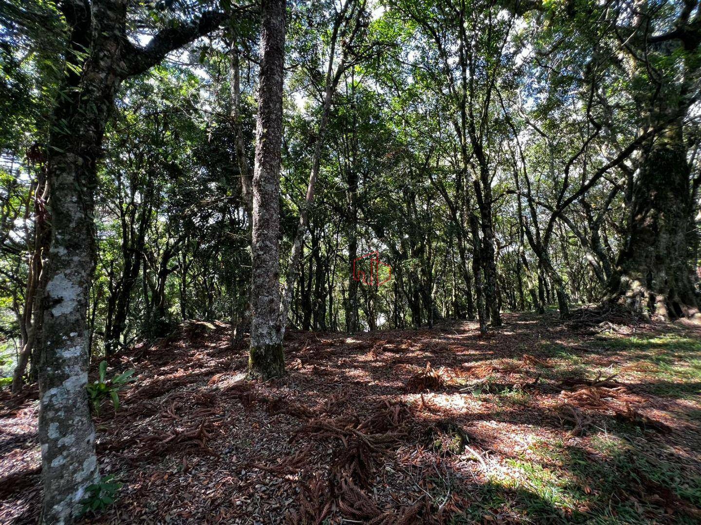 Loteamento e Condomínio à venda, 1435M2 - Foto 6