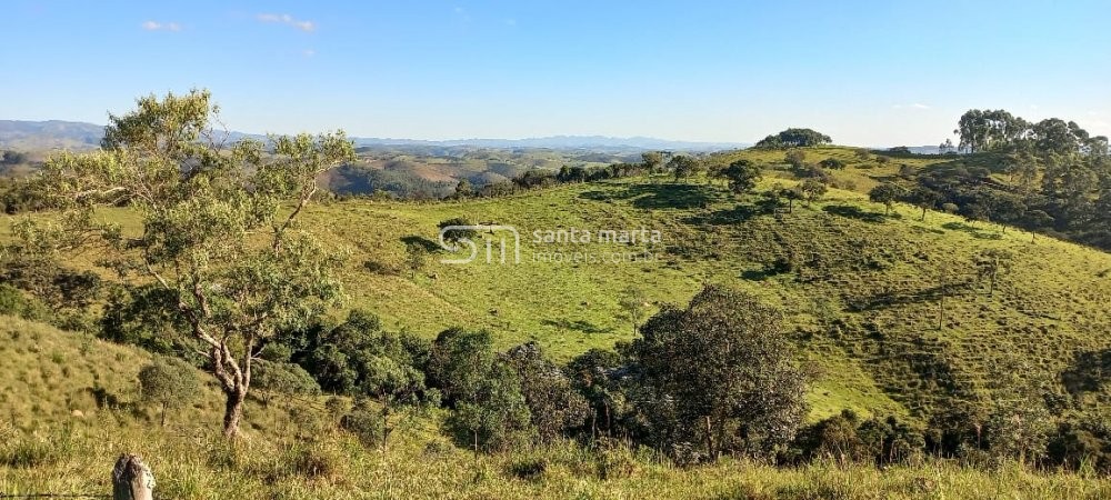 Fazenda à venda com 4 quartos, 72m² - Foto 29