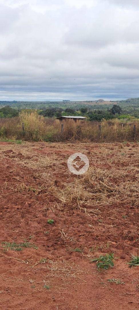 Fazenda à venda, 2500000M2 - Foto 8