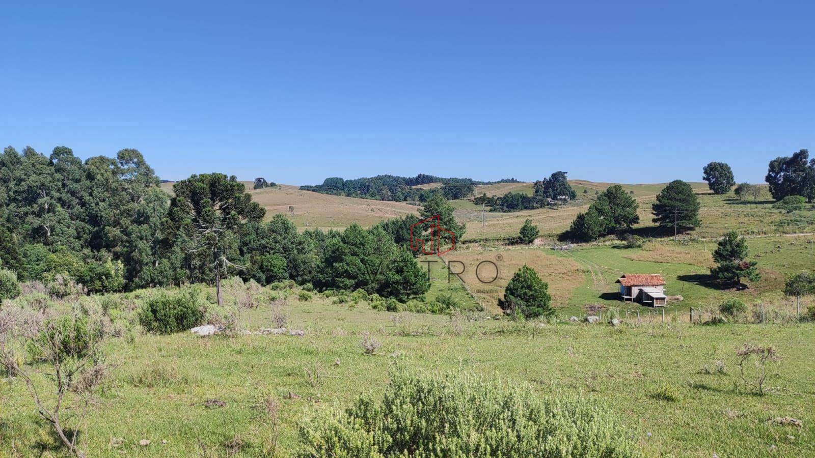 Sítio à venda com 3 quartos, 37000M2 - Foto 2