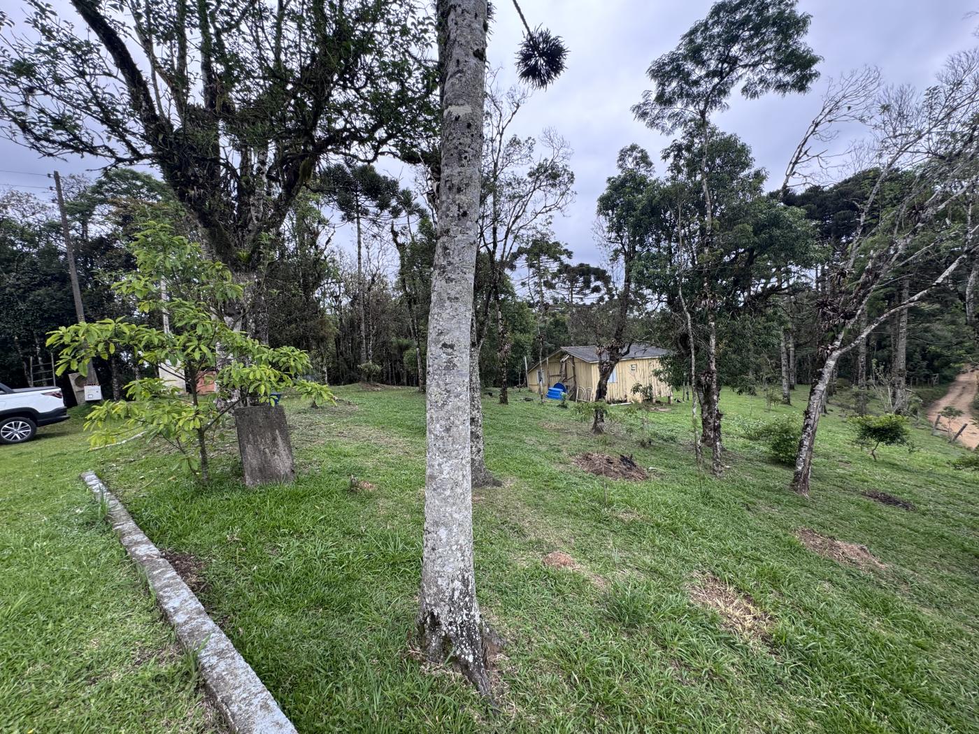 Chácara à venda com 4 quartos, 15000m² - Foto 31