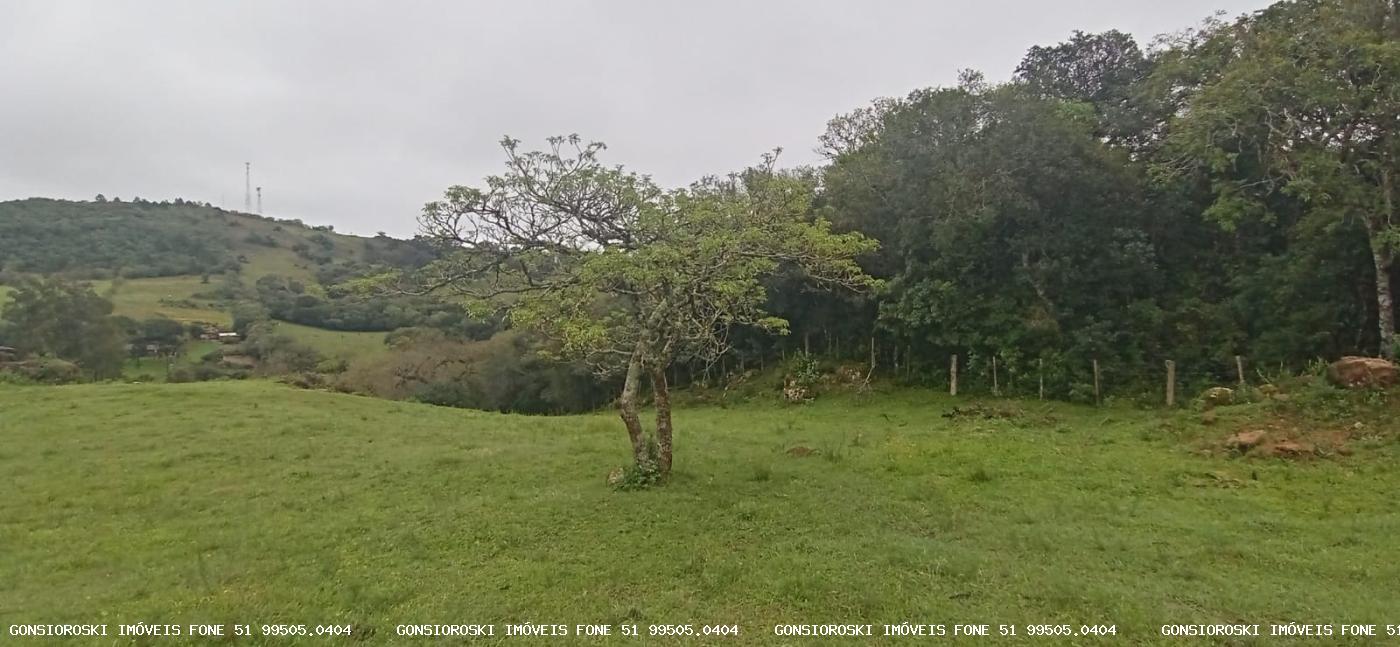 Fazenda à venda com 1 quarto, 18000m² - Foto 24