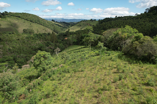 Terreno à venda, 75000M2 - Foto 4