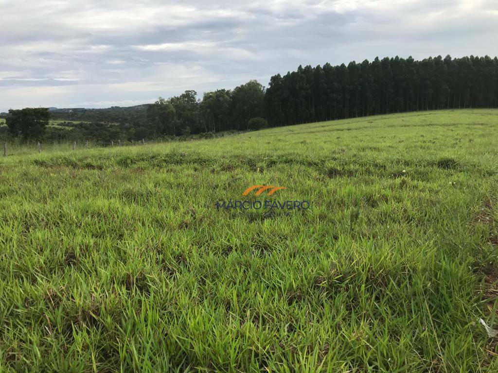 Fazenda à venda, 4250000M2 - Foto 2