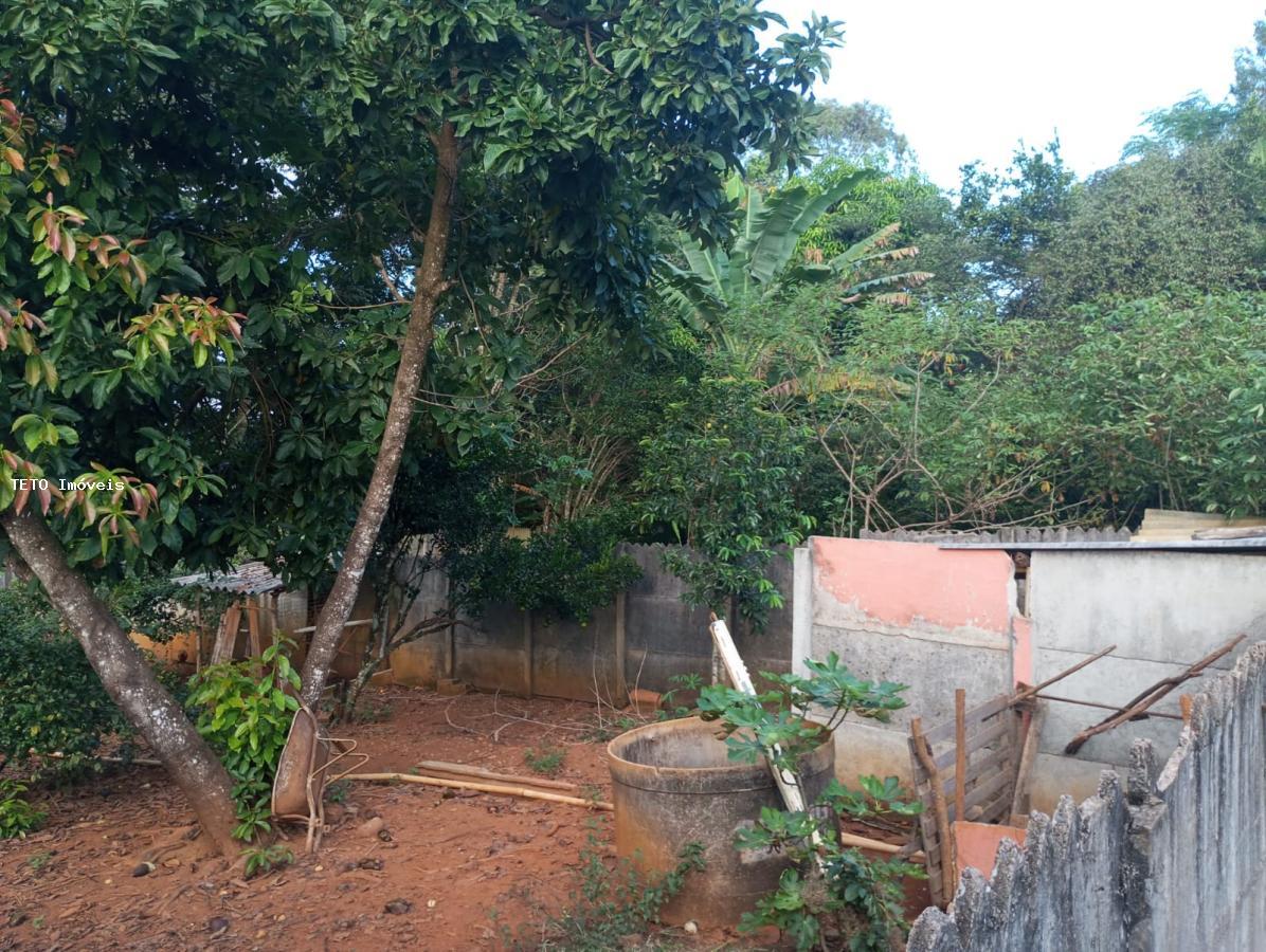 Fazenda à venda com 3 quartos, 1000m² - Foto 46