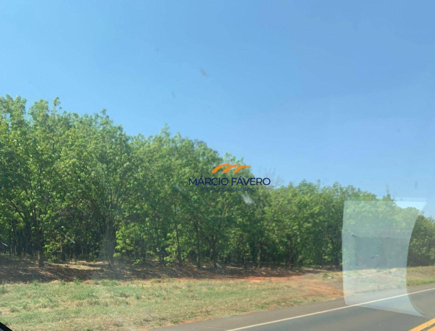 Fazenda-Sítio-Chácara, 206 hectares - Foto 1