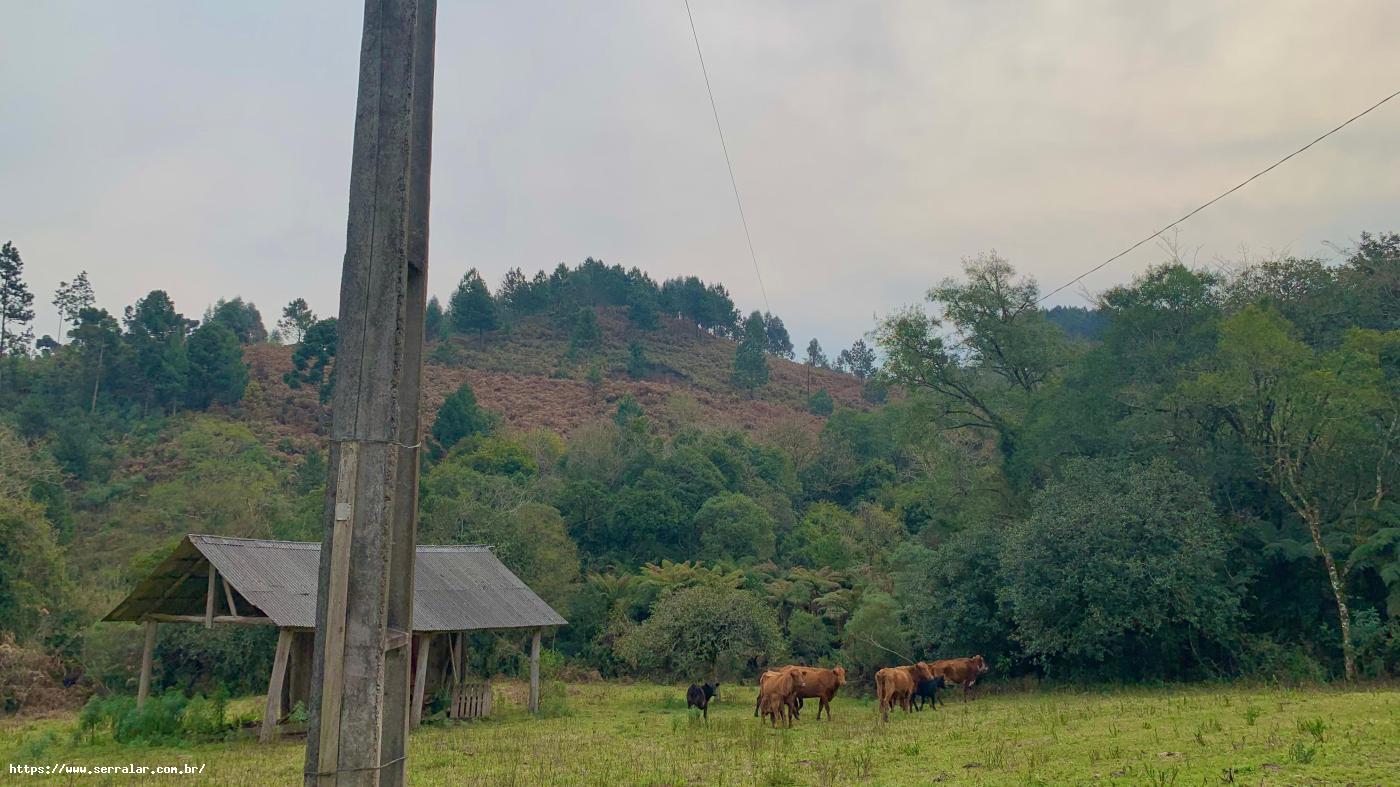 Fazenda à venda com 3 quartos, 83000m² - Foto 10