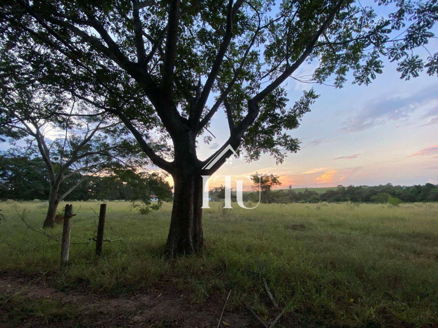 Haras e Área Rural Padrão à venda, 62M2 - Foto 31