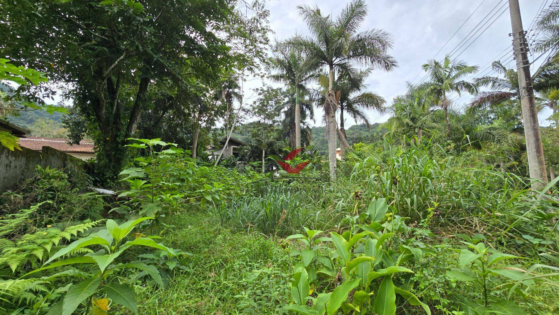 Loteamento e Condomínio à venda, 403M2 - Foto 4