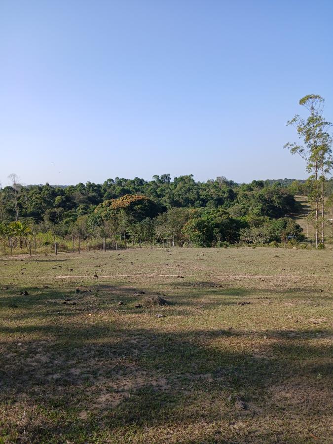 Fazenda à venda com 1 quarto, 96000m² - Foto 11