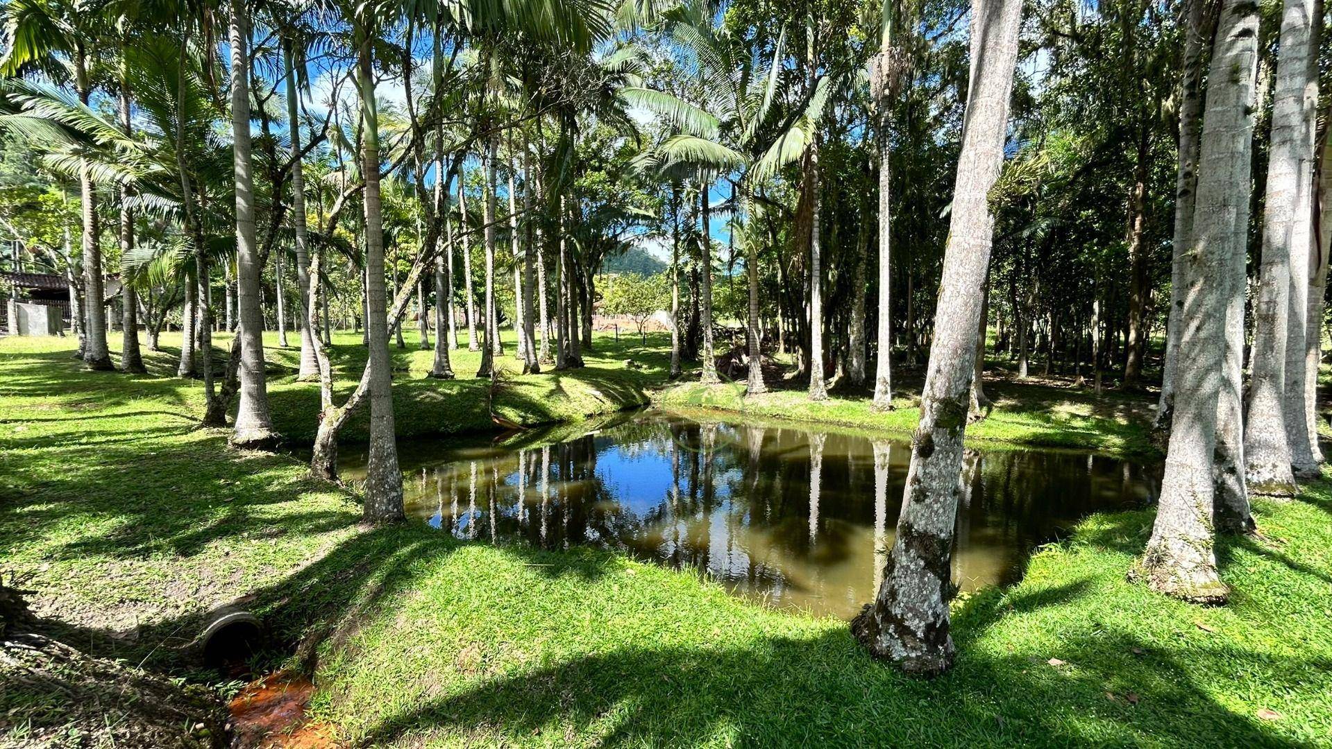 Chácara, 2 hectares - Foto 94