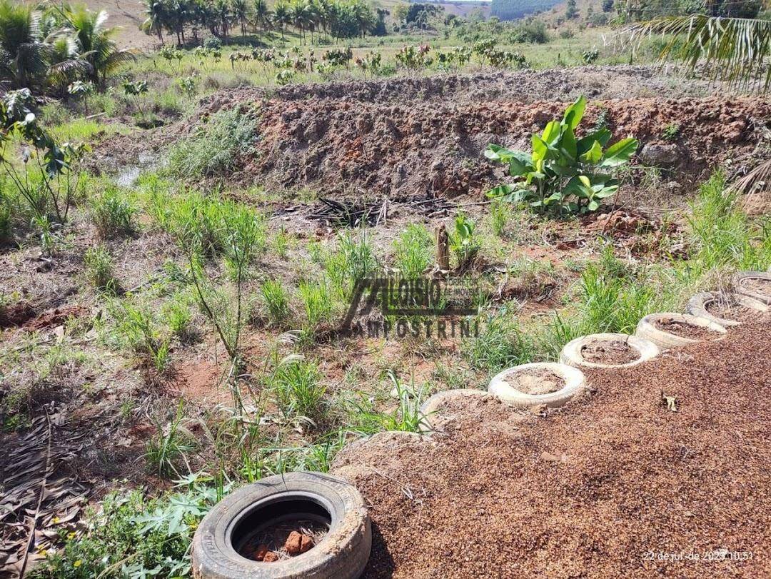 Chácara à venda, 8000M2 - Foto 19