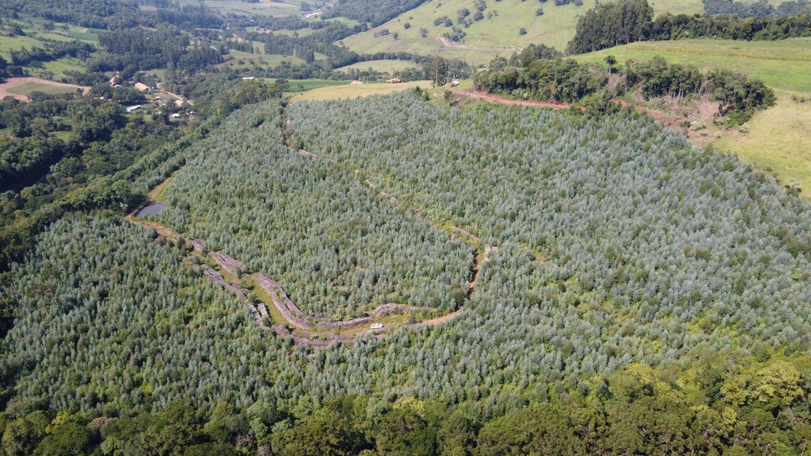 Terreno à venda, 170000m² - Foto 12