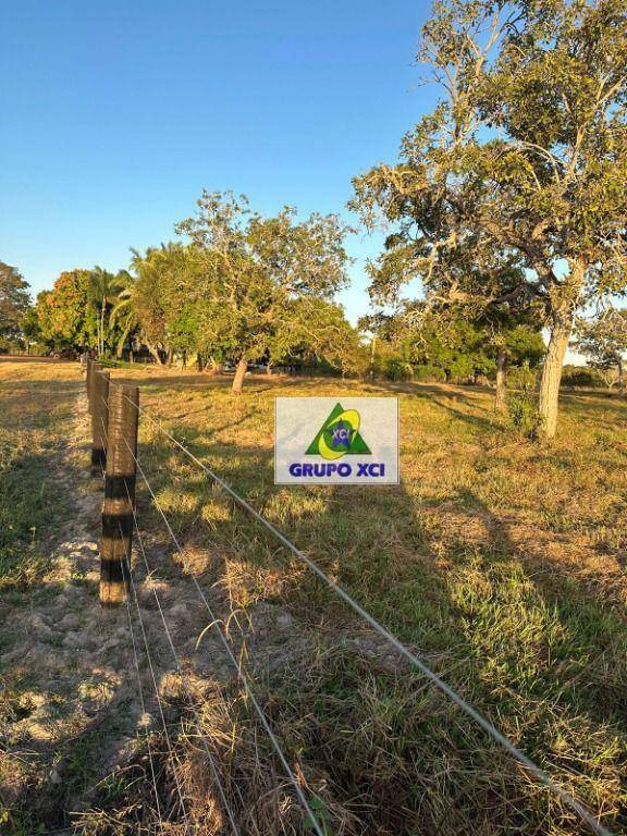 Fazenda à venda, 10120000M2 - Foto 5