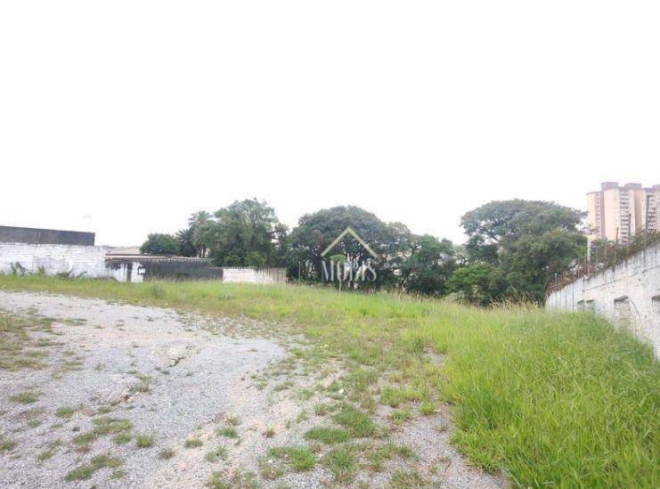 Terreno para alugar, 4351M2 - Foto 7