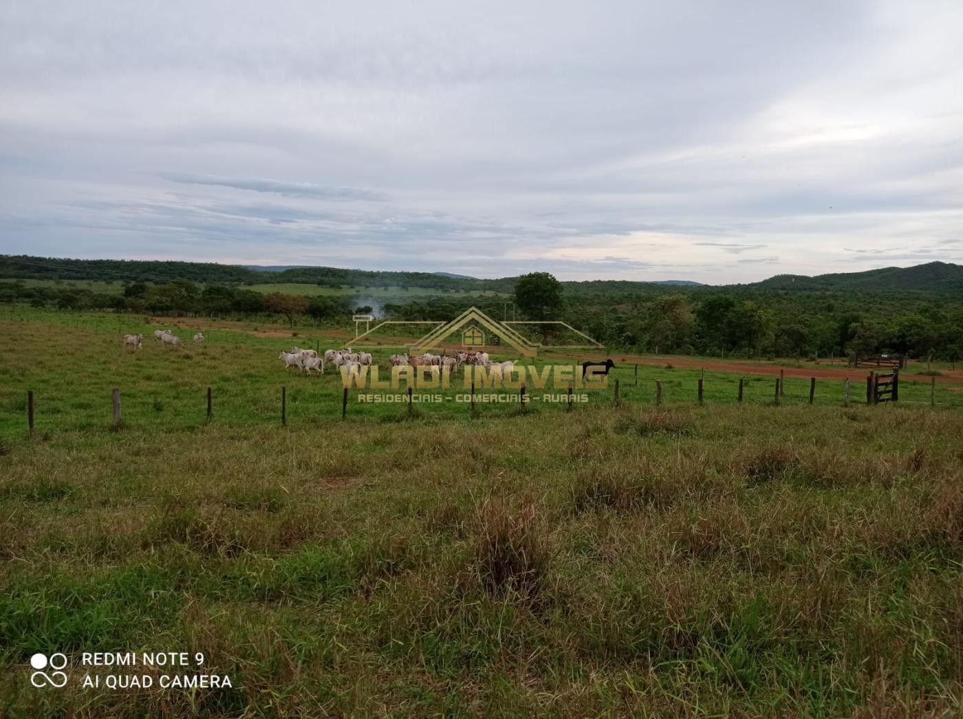 Fazenda à venda, 1435m² - Foto 17