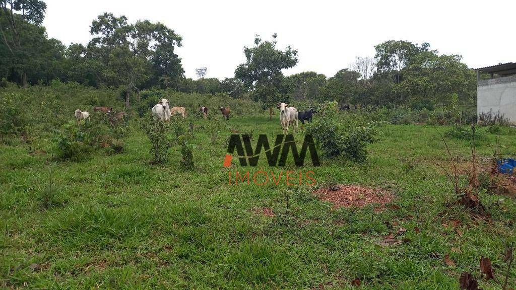 Fazenda à venda, 1161600M2 - Foto 1