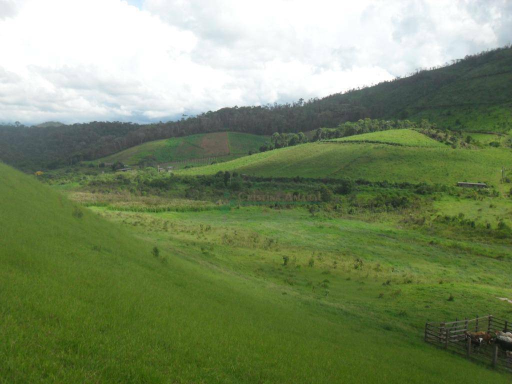 Fazenda à venda com 3 quartos, 120m² - Foto 8