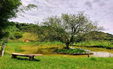 Fazenda à venda com 3 quartos, 17000m² - Foto 2